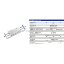 ESP slide cylinder with shock absorber CX2 cylinder